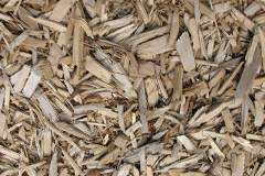 biomass boilers Talskiddy